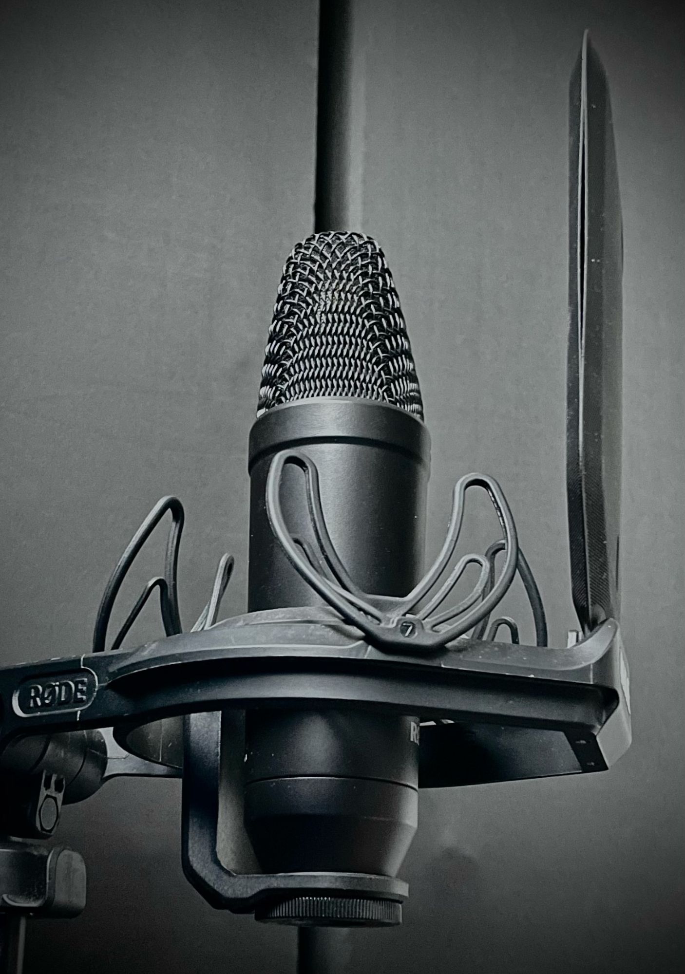 Close up of Rafael Neve's studio